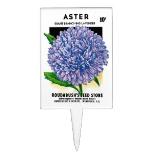 Aster Vintage Seed Packet Cake Topper