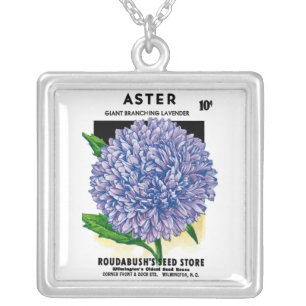Aster Vintage Seed Packet Silver Plated Necklace