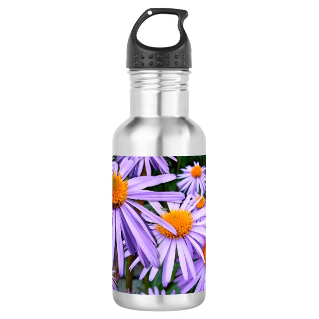 Aster Water Bottle (Front)
