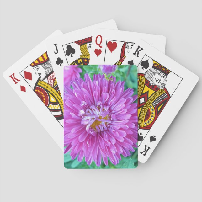 Aster with Crab Spider Poker Cards (Back)