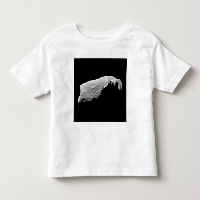 Asteroid 243 Ida Toddler T-shirt (Front)