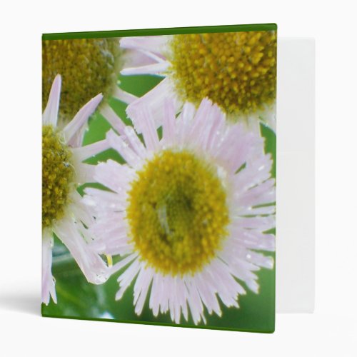 Asters 3 Ring Binder