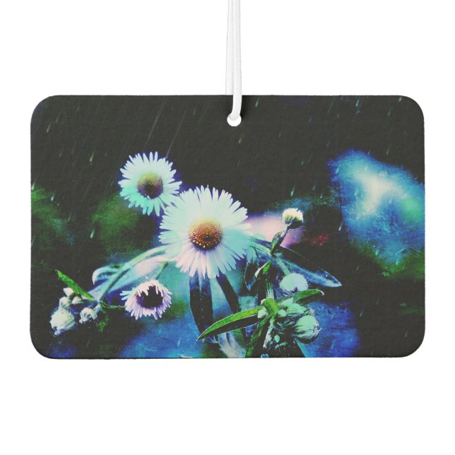 Asters Aglow Air Freshener (Front)