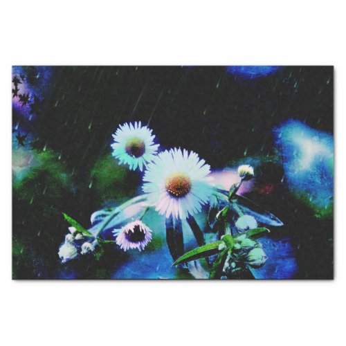 Asters Aglow  Tissue Paper