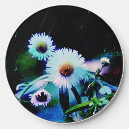 Asters Aglow  Wireless Charger