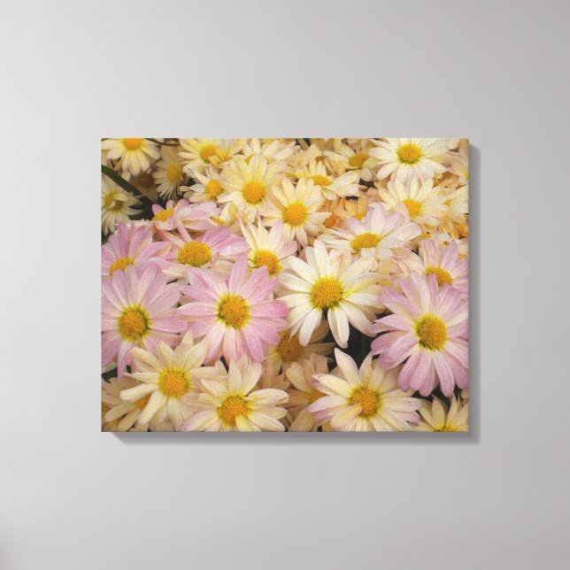 Asters on Wrapped canvas Print (Front)