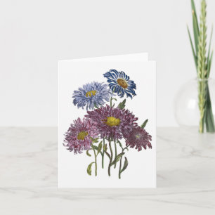 Asters Watercolor Blank Note Card
