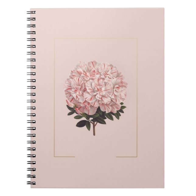 asthetic diary notebook (Front)