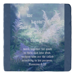 Astilbe Blue Mist Romans 8:28 Trivet