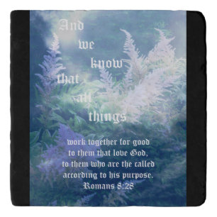 Astilbe Blue Mist Romans 8:28 Trivet