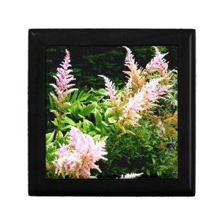 Astilbe Gift Box