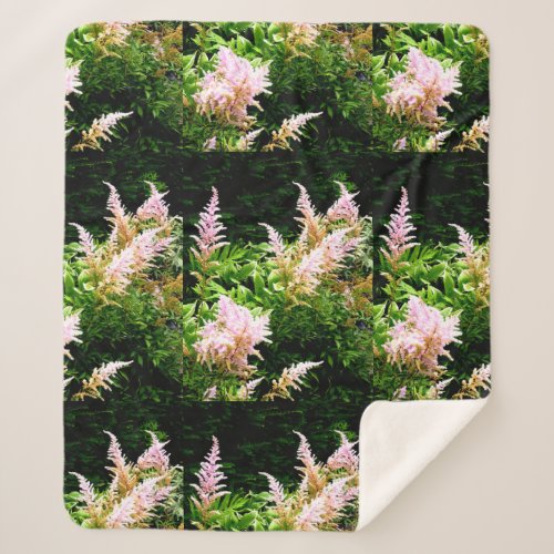 Astilbe Sherpa Blanket