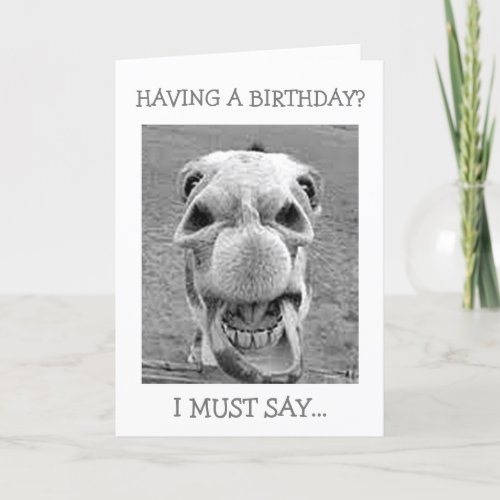 ASTONISHED MULE_HAVING A BIRTHDAY CARD