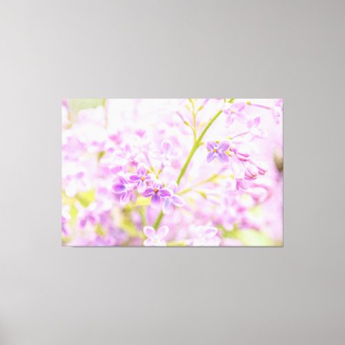 Astonishing Lilac Flowers Canvas Print