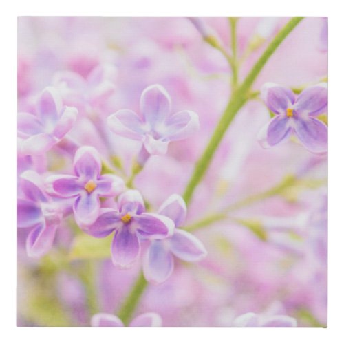 Astonishing Lilac Flowers Faux Canvas Print