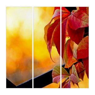 Astonishing red vine leaves in the autumn garden triptych