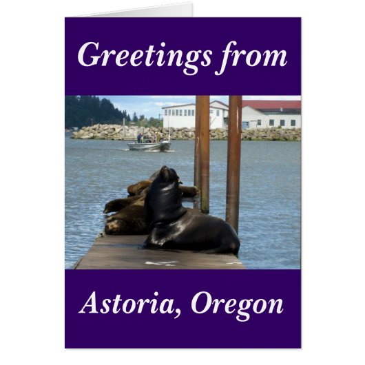 Astoria Oregon Sealions Cards (Front)