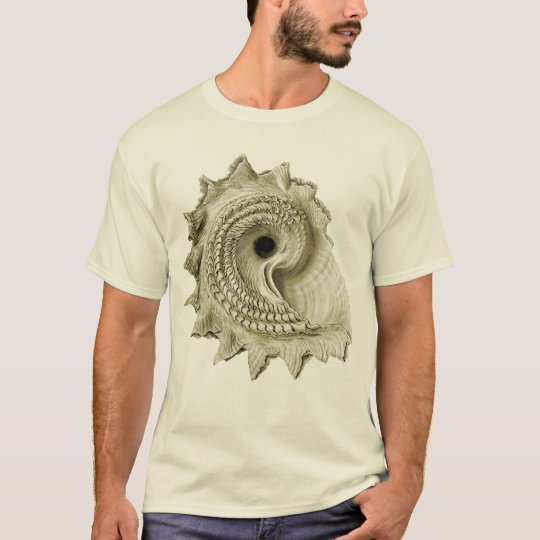 Astraea heliotropium T-Shirt