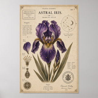 Astral Iris Victorian Botanical Museum Print
