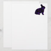 Astro Bunny (Front/Back)