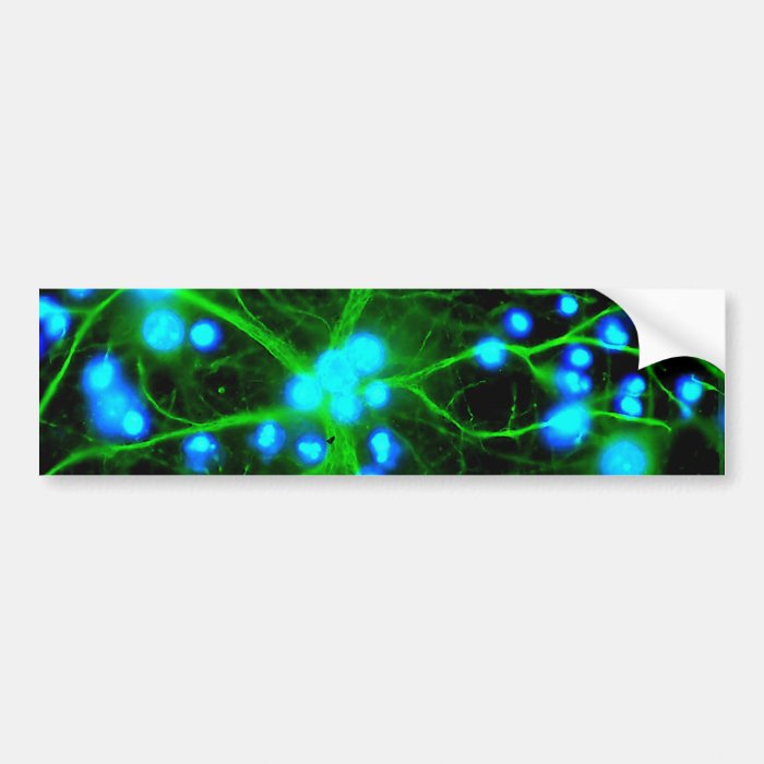 Astrocyte Are Star Shaped Glial Cells in the Brain Bumper Stickers