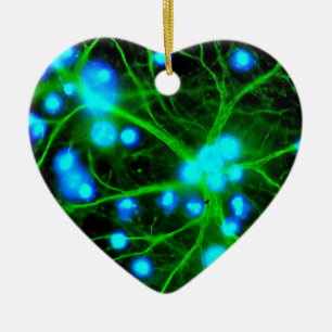 Astrocyte Are Star Shaped Glial Cells in the Brain Ceramic Ornament