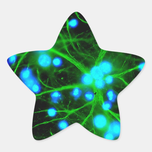 Astrocyte Are Star Shaped Glial Cells in the Brain Sticker (Front)