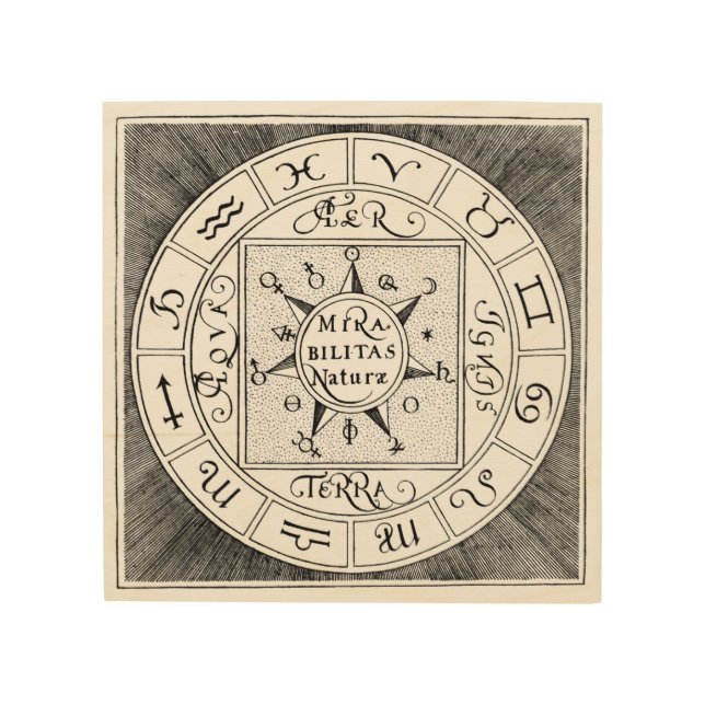 Astrology Sign Zodiac Symbols Wall Art (Front)