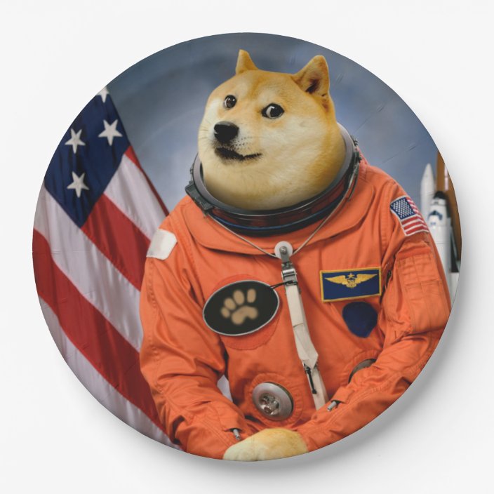 Astronaut Dog Doge Shibe Doge Memes Paper Plate Zazzle Com
