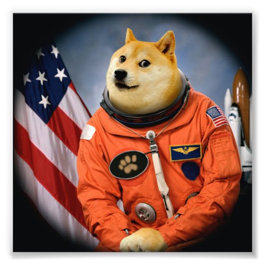 astronaut dog - doge - shibe - doge memes photo print | Zazzle.com