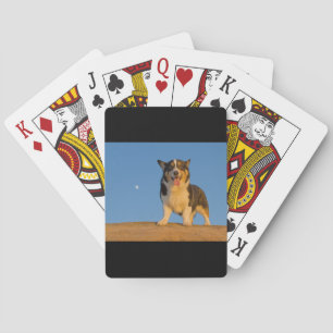 Astronaut Dreaming Poker Cards