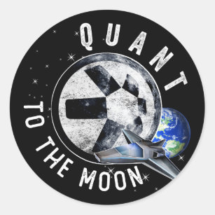 Astronaut Skate Quant QNT Crypto Coin HODL Token T Classic Round Sticker