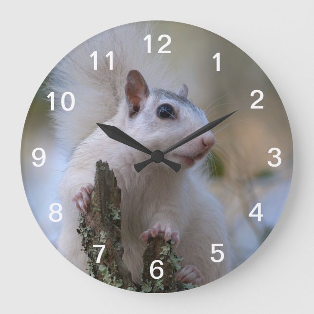 Astronaut Squirrel Large Clock (Front)