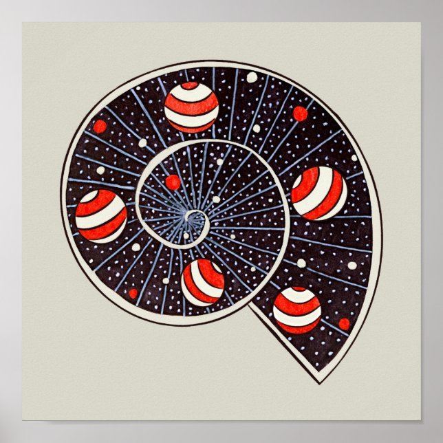 Astronomy Funny Space Spiral Galaxy  Poster (Front)