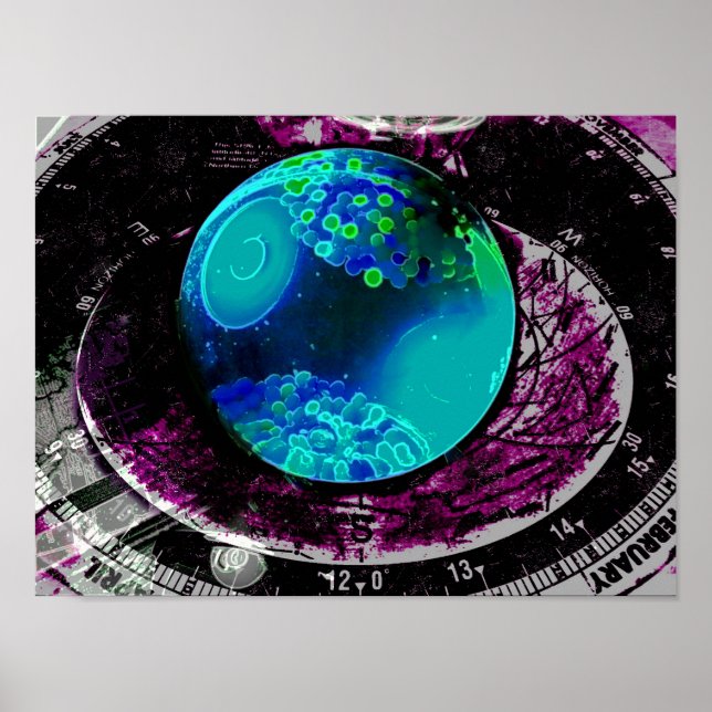 Astronomy Gone Wild Poster (Front)