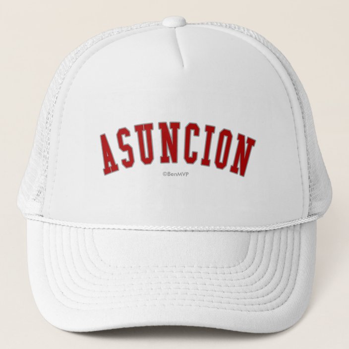 Asuncion Mesh Hat