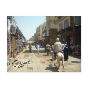 aswan donkey postcard