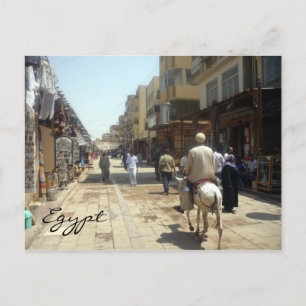 aswan donkey postcard