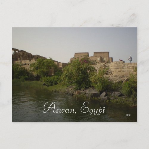 Aswan Egypt Postcard