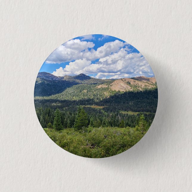 aswrvr button (Front)