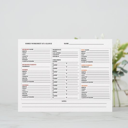 At A Glance Genealogy Family Tree Group Work Sheet (Standing Front)