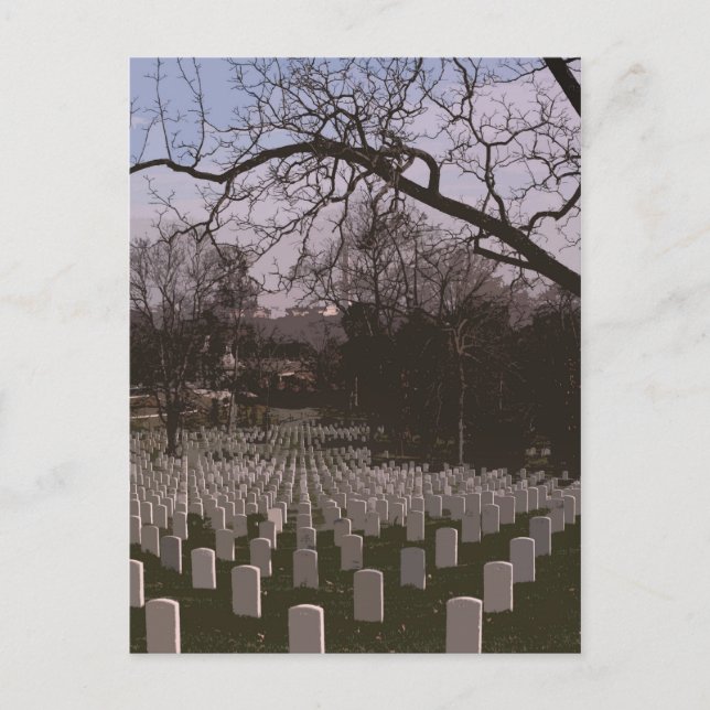 At Arlington National Cemetary Postcard (Front)
