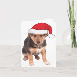 At Christmas - German Shepherd Puppy Holiday Card