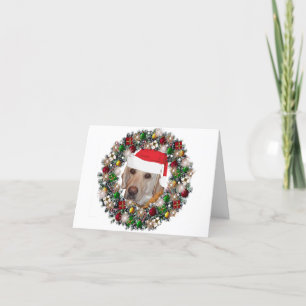 At Christmas - Labrador Retriever Holiday Card