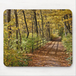 At Fall In Wienerwald Mouse Pad