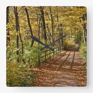 At Fall In Wienerwald Square Wall Clock