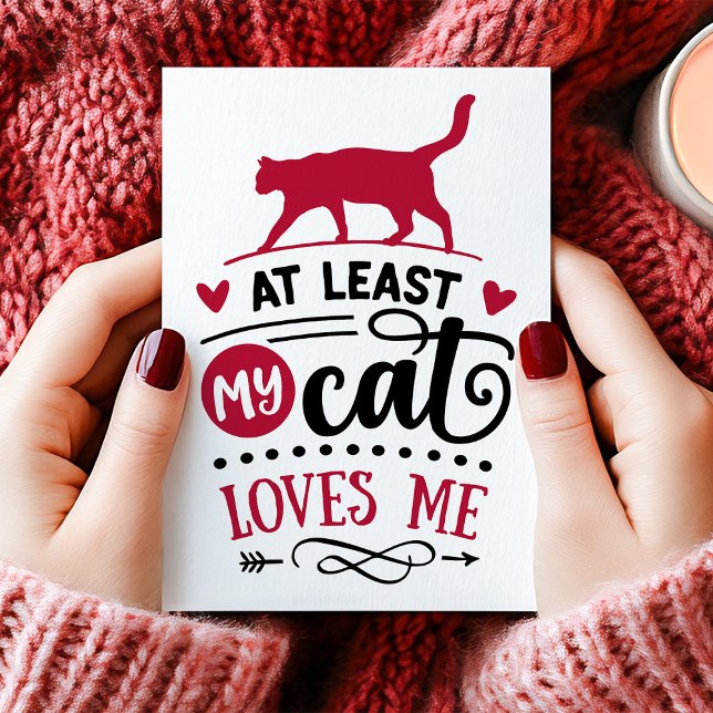 At Least My Cat Loves Me Anti Valentine's Day Holiday Card (Creator Uploaded)