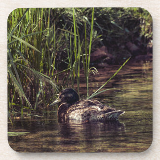 At Pond's Edge Beverage Coaster
