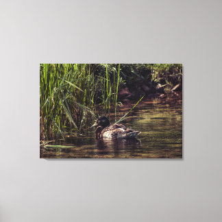 At Pond's Edge Canvas Print