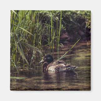 At Pond's Edge Magnet